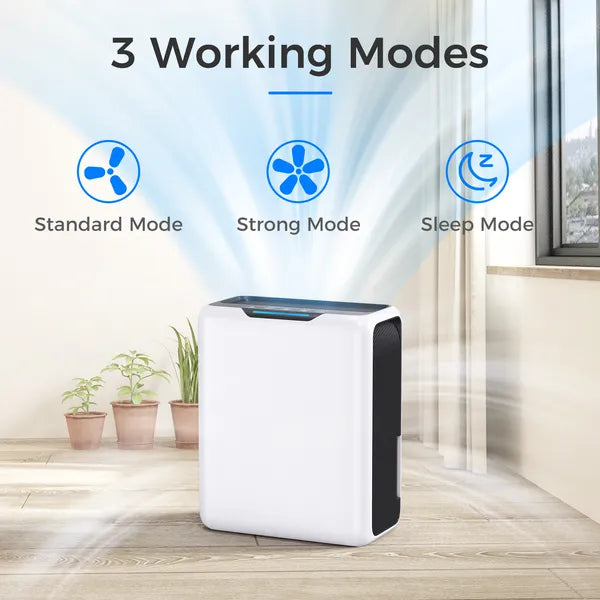 3L Dehumidifier, Electric Dehumidifier For 20m2 Home, Dual Peltier Technology, 30dB Ultra Quiet For Bedroom, Intelligent Defrost, 24H Timer