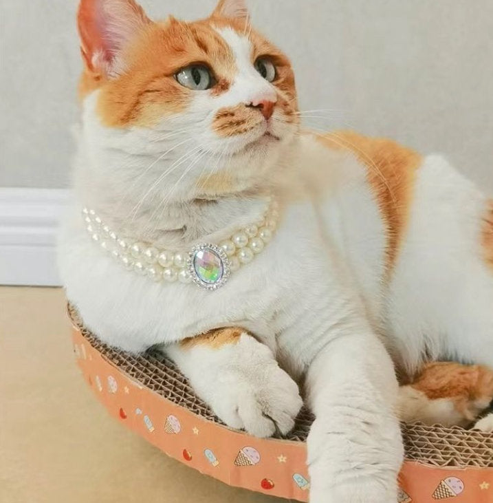 Cat Pearl Necklace Pet Collar