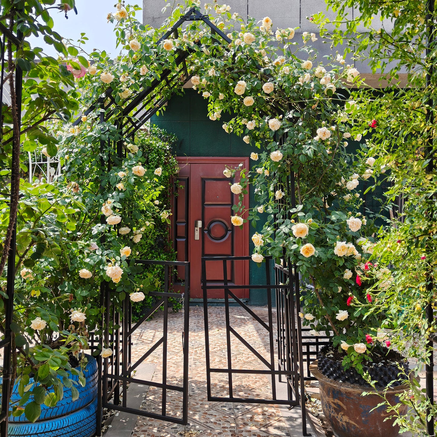 Metal Garden Arch With Gate W58.07XH97.24 Climbing Plants Support Rose Arch Outdoor Black