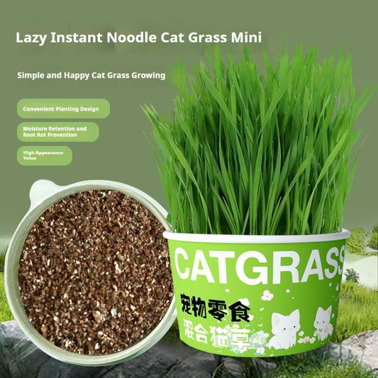 Pet Snack Potted Instant Noodles Cat Grass