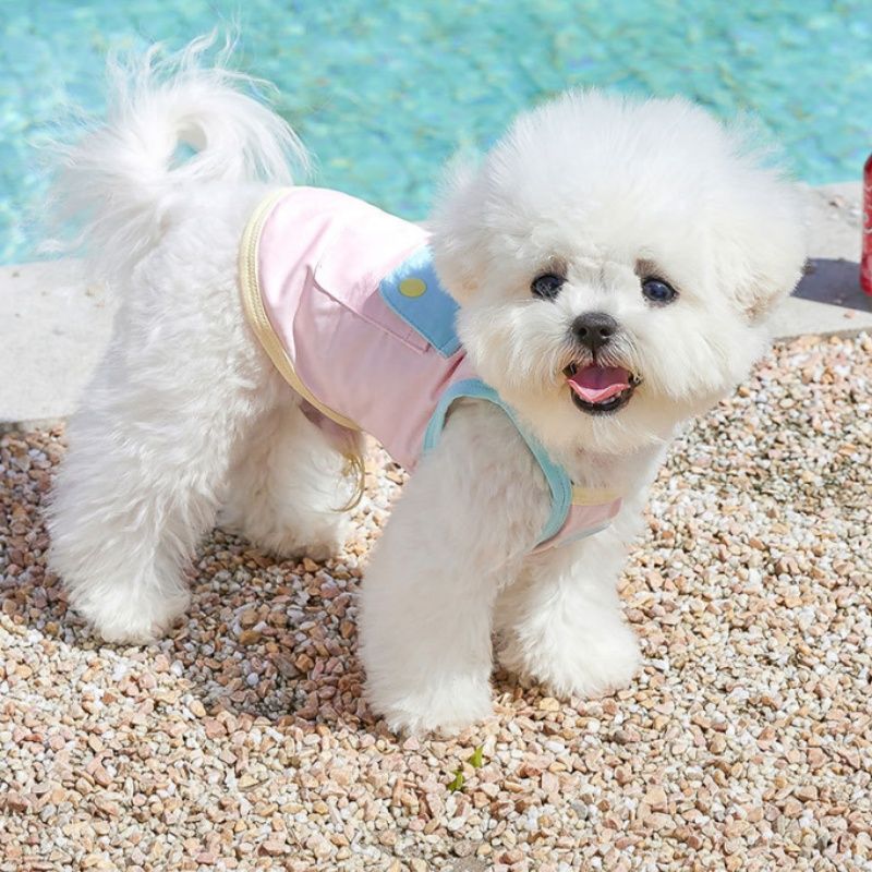 Cat Dog Summer Cool Clothes Pet Bichon Small Dog