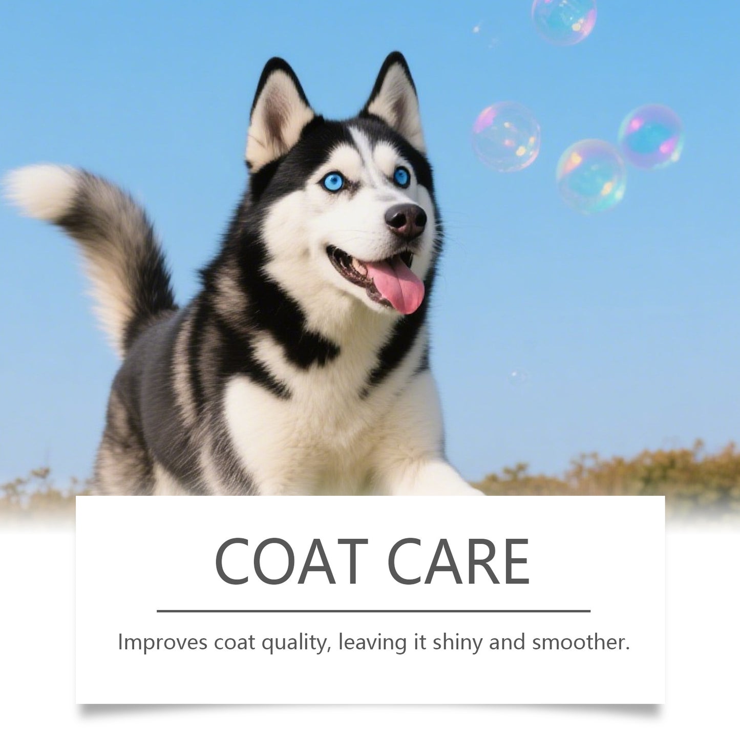 Kriath Pet Dog Nutrition Drops Mild Formula For Fur And Skin Care Main Food With Supplements