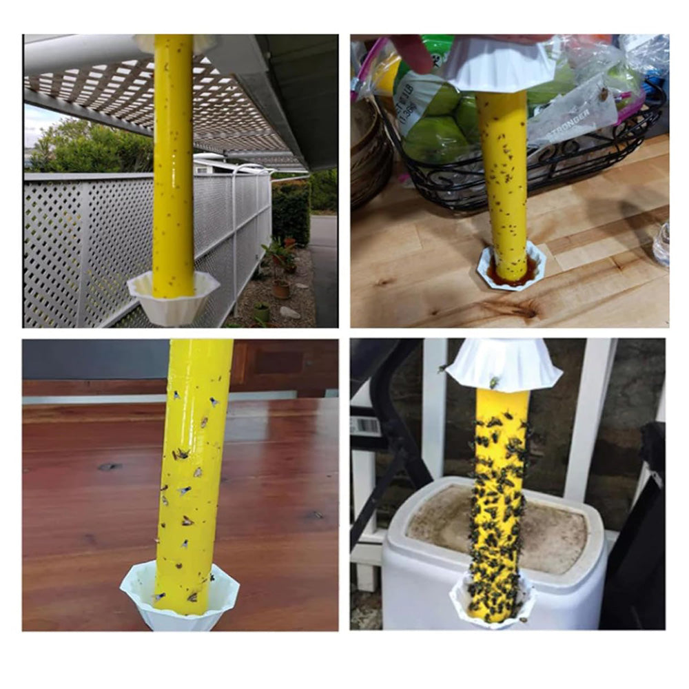 Indoor And Outdoor Sticky Fly Traps,Magic Fly Sticks,Odorless & Safe