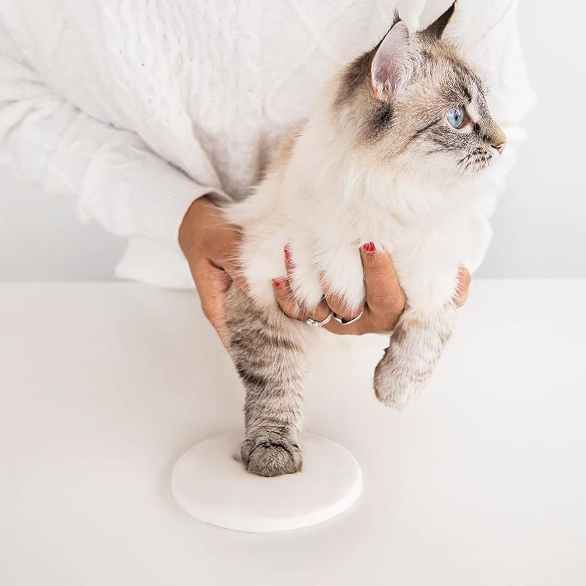 White Pet Cat And Dog Paw DIY Ink Pad Souvenir