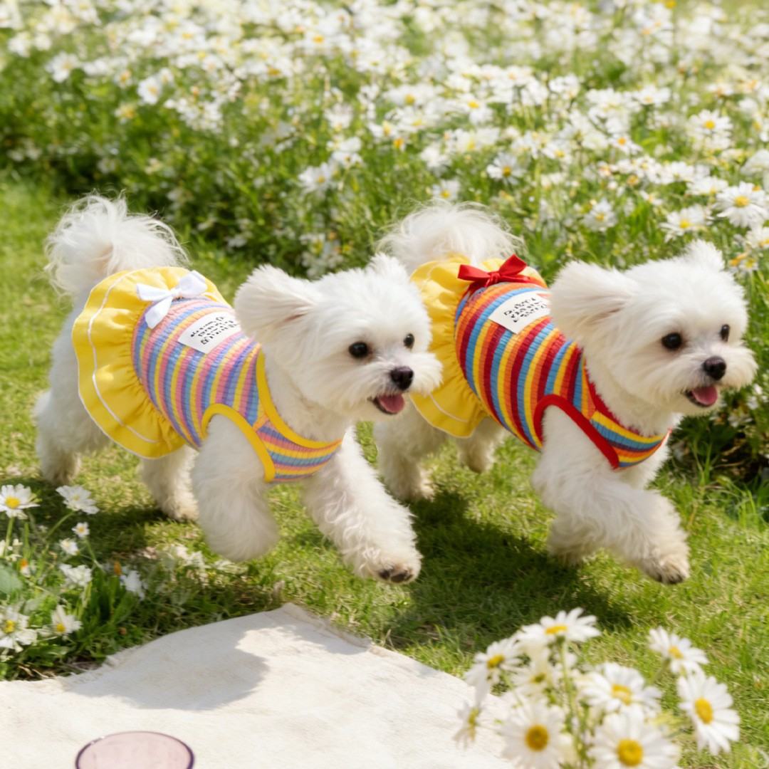 Rainbow Striped Pet Clothing Thin Style