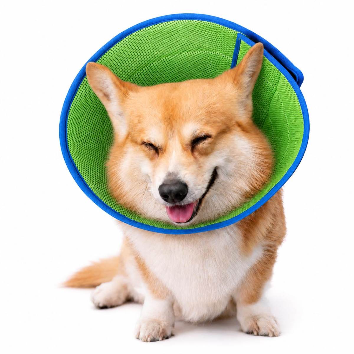 Soft Dog Cone Collar To Stop Licking After Surgery, Comfy Dog Cone Alternative For Large Medium Small Dogs Cats, Adjustable Washable E-Collar For Spay Neuter Recovery And Neck Protection
