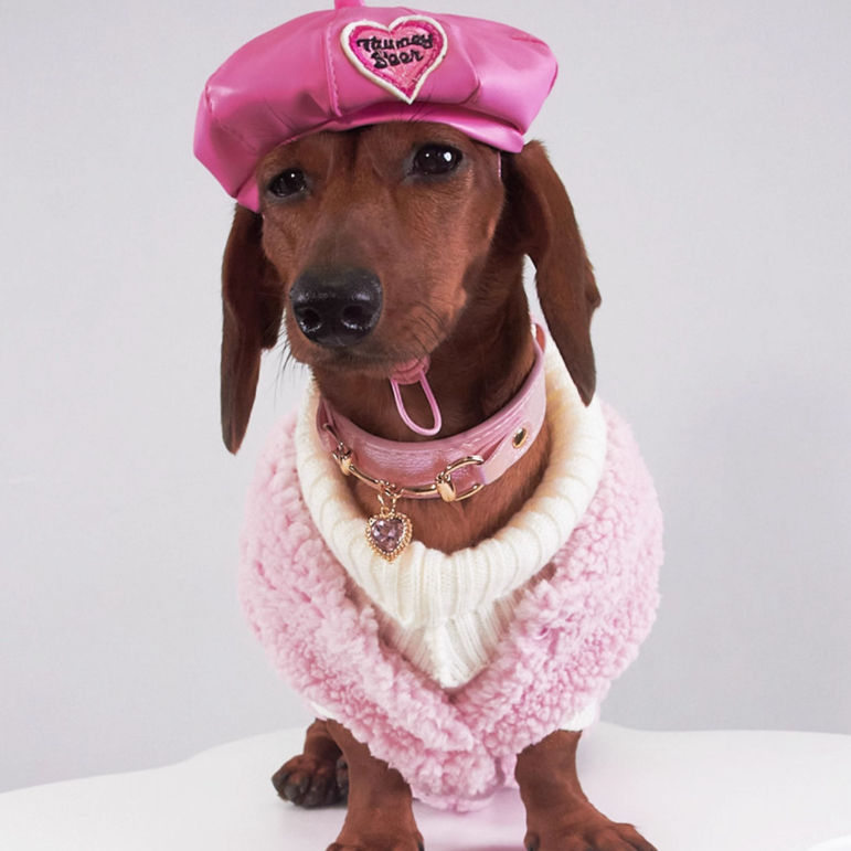 Autumn And Winter Dog Cat Pet Clothes Lambswool Vest