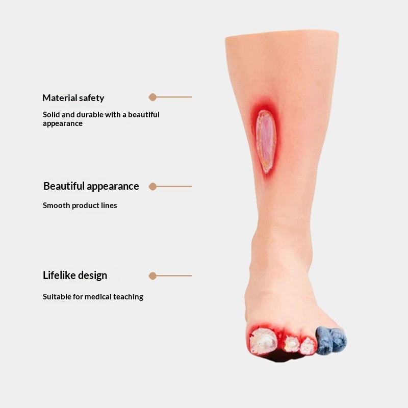 PVC Foot Care Training Model Tool