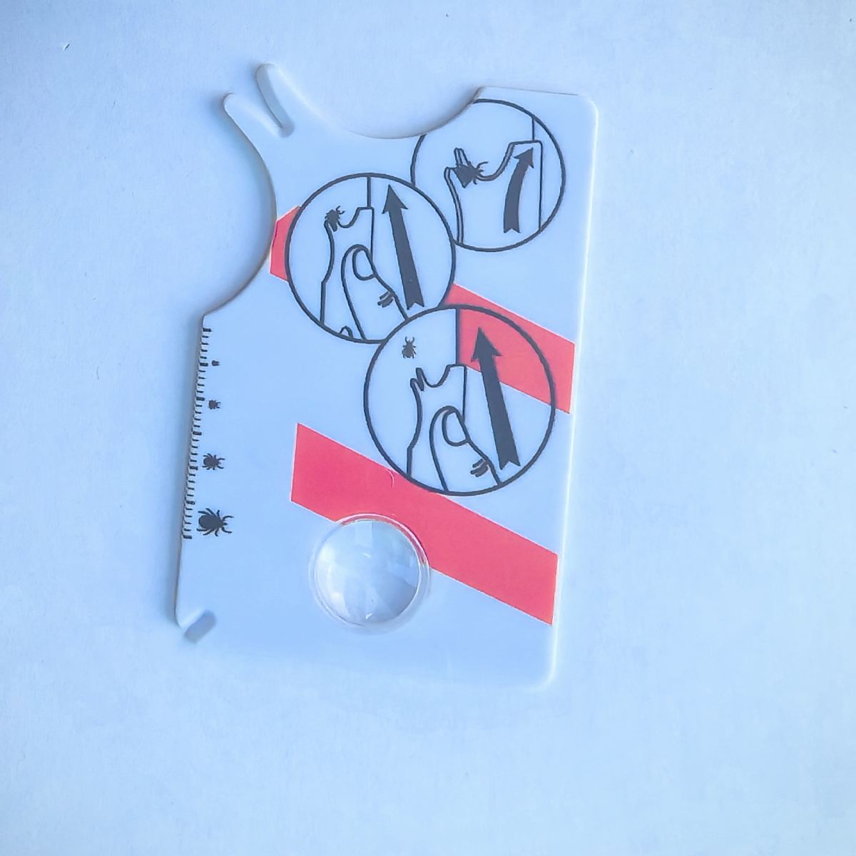 Household Pet In Vitro Insect Catching Card